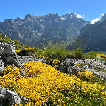 Casa de Férias La Balconada De Valdeón