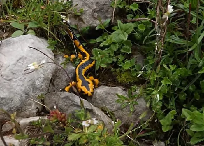Сasa de vacaciones La Balconada De Valdeón Posada De Valdeon